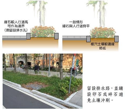 樹穴設計|栽植規劃考量 樹種規劃不佳 樹穴設計不良